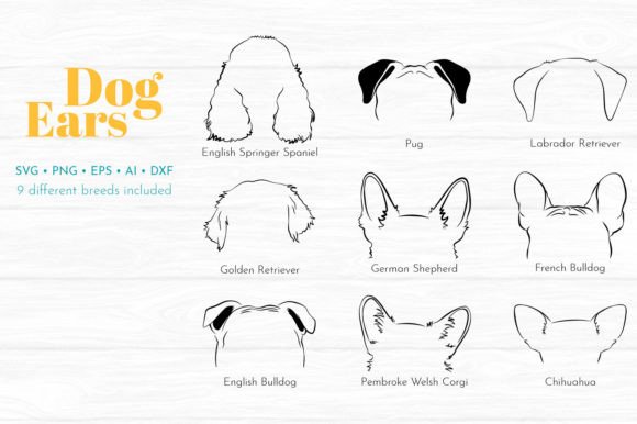 Dog Ear Illustration Collection Review