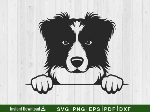 Peeking Australian Shepherd: A Dog Face Design Worth Stitching
